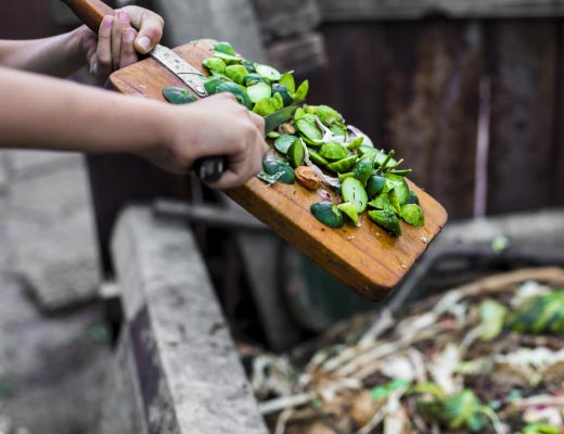 An image of DIY Composting